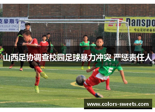 山西足协调查校园足球暴力冲突 严惩责任人
