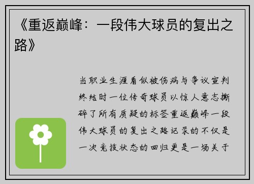 《重返巅峰：一段伟大球员的复出之路》
